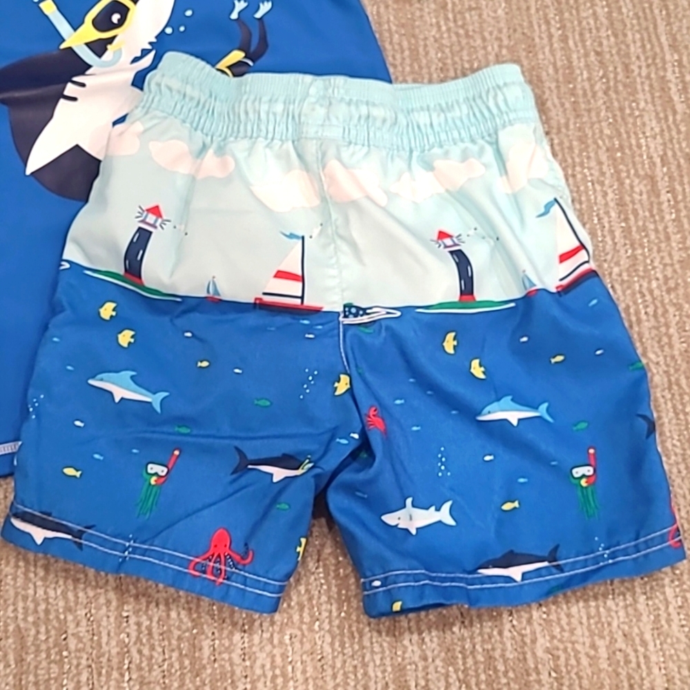 Swim Trunks - Picture 3 of 8